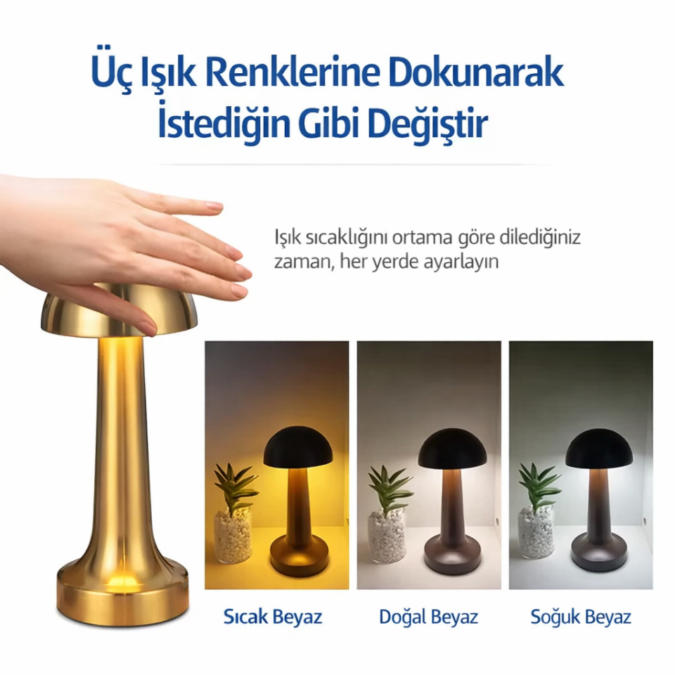 Dokunmatik Şarjlı 3 Renk LED Masa Lambası Metal Modern Gece Lambası Gümüş