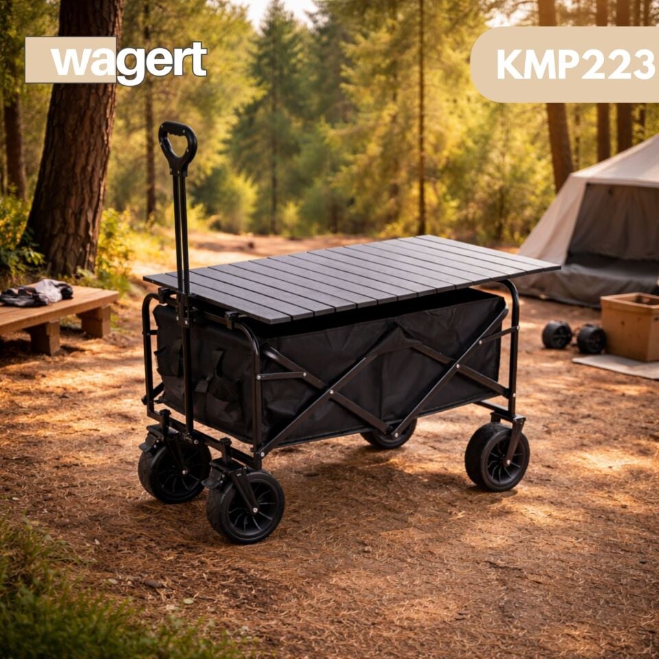 Katlanabilir Taşınabilir Vagon Metal Masalı Kamp Piknik Pazar Taşıma Arabası Siyah